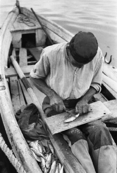 Viaggio in Jugoslavia. Sebenico: un pescatore pulisce il pesce all'interno della sua imbarcazione