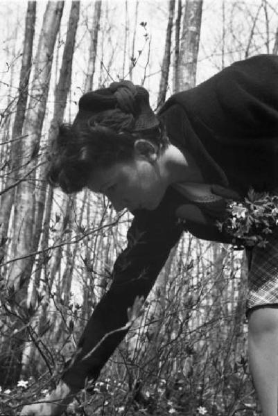 Internamento in Svizzera. Horriwil. Ritratto femminile, Laura Patellani raccoglie fiori nel bosco