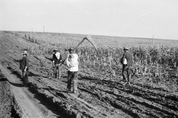 Campagna di Russia. Verso Vil'shanka (Olshanka) - contadini - coltivazioni di granoturco