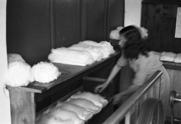 Produzione di maglieria d'angora - filatura della lana - operaia
