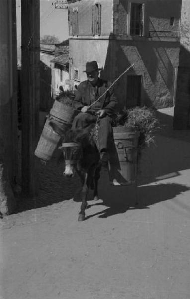 Castel Gandolfo. Scene di vita quotidiana - un uomo anziano monta un asino che trasporta del fieno