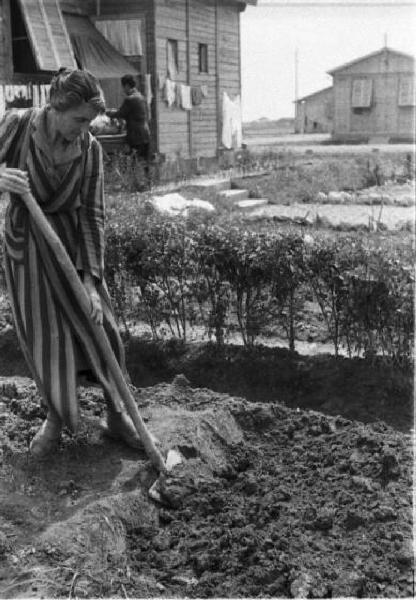 Italia Dopoguerra. Milano - Quartiere Baggio - Donna che zappa la terra - sullo sfondo baracche con i panni stesi e orti coltivati
