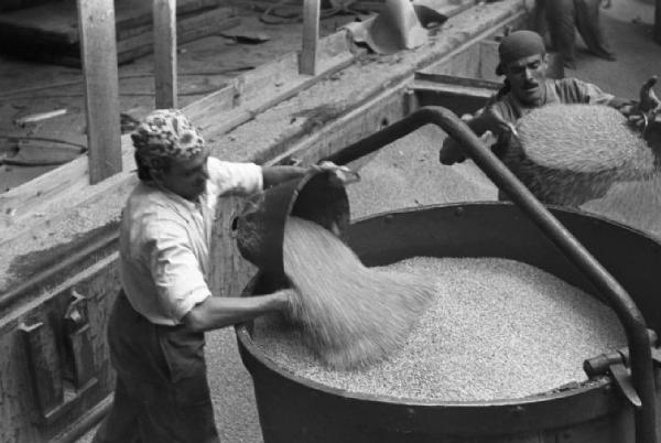 Italia Dopoguerra. Genova - Operazioni di scaricamento del grano dalla stiva di una nave