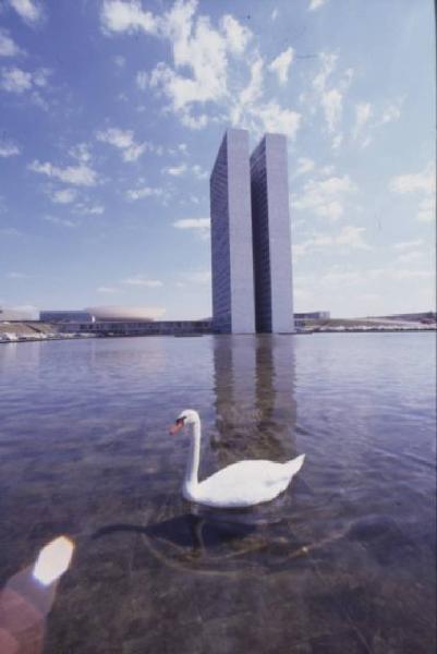 Brasilia. Il doppio grattacielo del Congresso Nazionale ripreso da uno specchio d'acqua, con cigno in primo piano