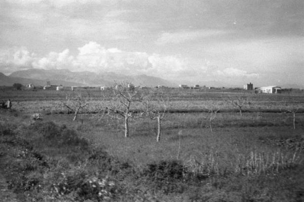 Italia Dopoguerra. Paesaggio agreste. Campi coltivati