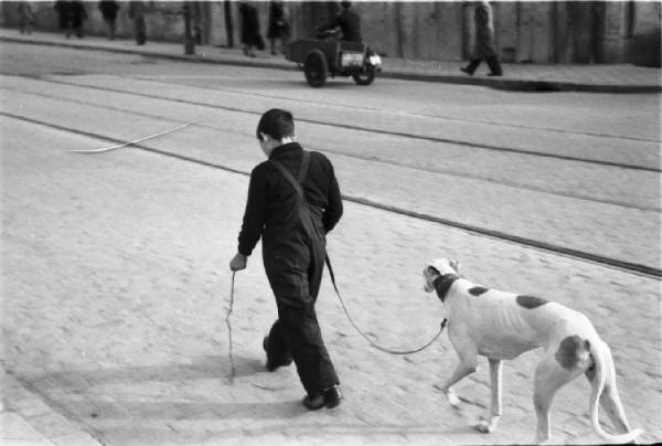 Spagna. Madrid. Ragazzo a passeggio con un cane - binari del tram