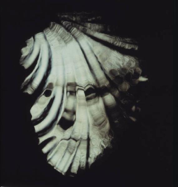 Klaustrofobia. Ritratto maschile - autoritratto dell'artista "Barocco"