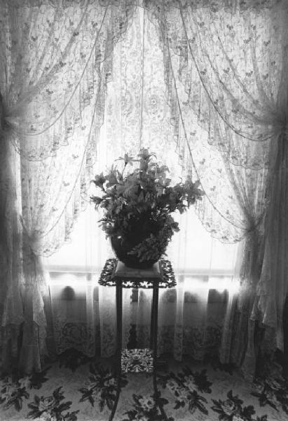 Michigan - Interno di abitazione - Tavolino intarsiato con vaso di fiori davanti ad una finestra con tende ricamate  - mouquette a fiori