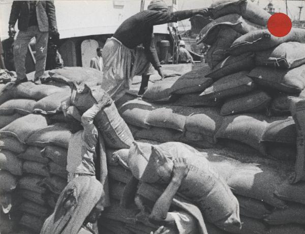Settore cinematografico - Documentario "L'oro bianco del Nilo" - Alessandria d'Egitto - Porto - Scarico sacchi di fertilizzanti Seifafert