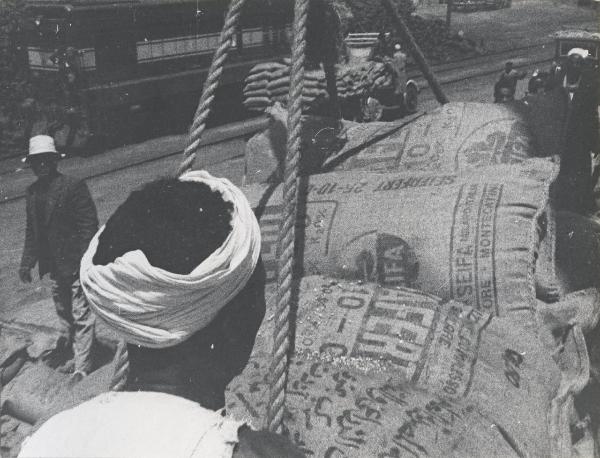 Settore cinematografico - Documentario "L'oro bianco del Nilo" - Alessandria d'Egitto - Porto - Scarico sacchi di fertilizzanti Seifafert