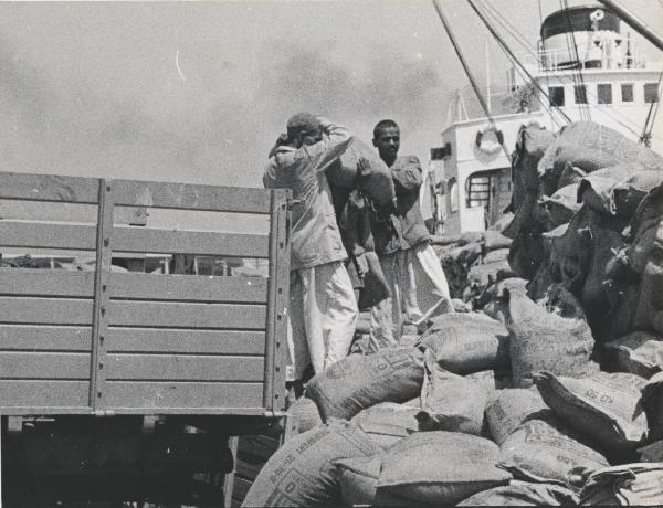 Settore cinematografico - Documentario "L'oro bianco del Nilo" - Alessandria d'Egitto - Porto con nave merci - Scarico sacchi di fertilizzanti Seifafert