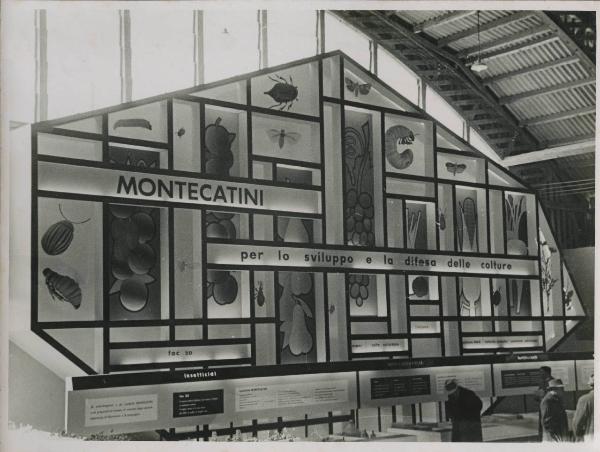 Verona - Fiera dell'agricoltura del 1956 - Stand Montecatini dedicato ai prodotti per l'agricoltura - Pannelli illustrativi
