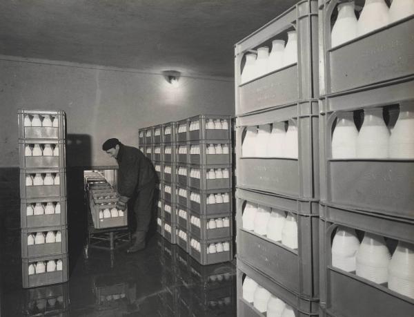Livorno - DIPR (Divisione petrolchimica e resine) - Centrale del latte - Linea di produzione - Bottiglie in Moplen sistemate dentro la cella frigorifera