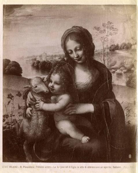 Dipinto - La Vergine ed il Figlio in atto di abbracciare un agnello - Sodoma - Milano - Brera - Pinacoteca