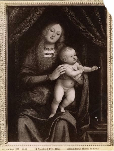 Dipinto - Madonna col Bambino - Gaudenzio Ferrari - Milano - Brera - Pinacoteca