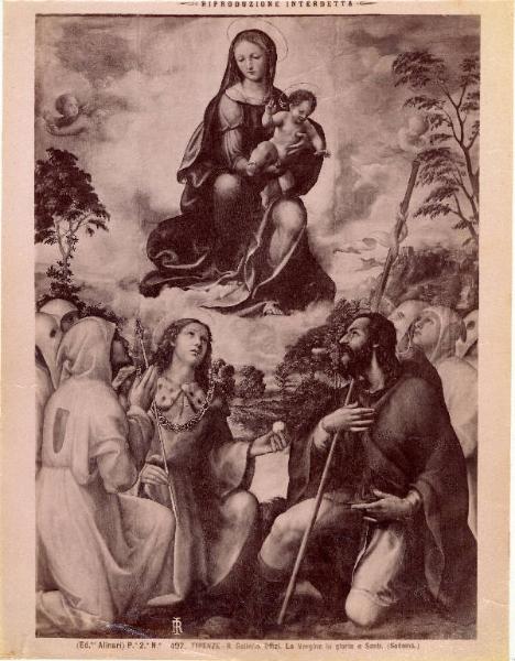 Dipinto - Vergine in gloria e Santi - Sodoma - Firenze - Galleria degli Uffizi