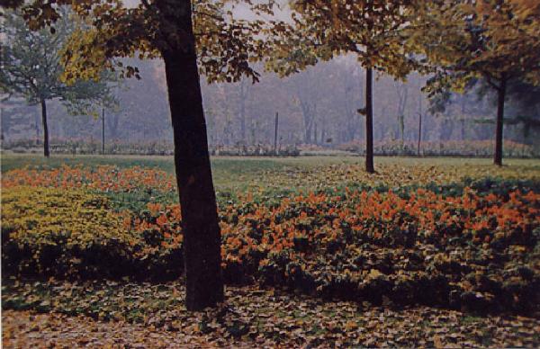 X Triennale - Parco Sempione - Mostra del fiore e del giardino