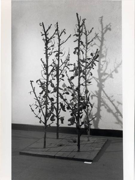 XVI Triennale - Secondo ciclo - Il progetto di architettura - Architetture italiane degli anni '70 - Scultura "4 alberi", di Alik Cavaliere