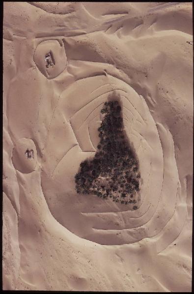 XVIII Triennale - Palazzo dell'Arte - Mostra fotografica Una nuova rappresentazione della geografia. La prospettiva a volo d'uccello di Georg Gerster - Algeria. Oasi con palme nel Sahara