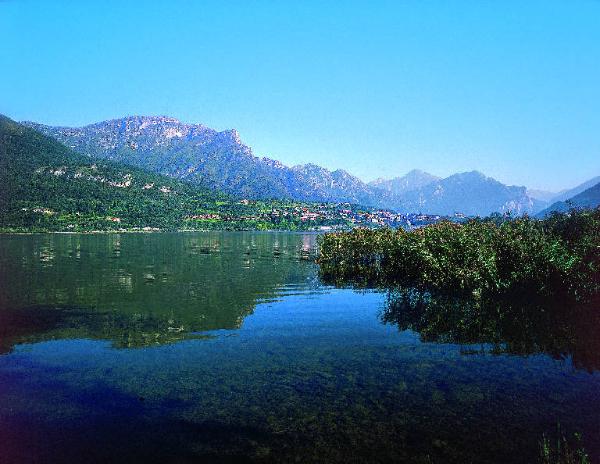 Lecco - Lago di Annone - Vegetazione - Riflesso - Monti
