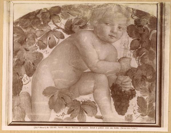 Luini, Bernardino - Putto in ginocchio su un tralcio di vite - Affresco staccato - Parigi - Museo del Louvre