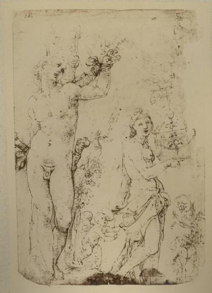 Cesare da Sesto - Studi per un san Sebastiano, figura femminile e amorino - Schizzi - Disegno