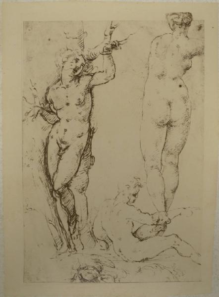 Cesare da Sesto - Studio per un san Sebastiano e due figure - Schizzi - Disegno