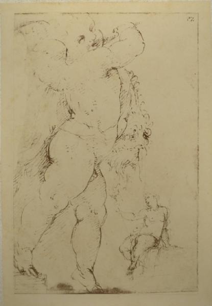 Cesare da Sesto - Studio per un putto e figura femminile - Schizzo - Disegno