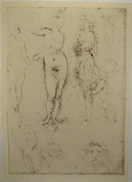Cesare da Sesto - Studi per tre figure, un putto, un satiro, una Leda col cigno, una Madonna con Bambino e una testa grottesca - Schizzi - Disegno