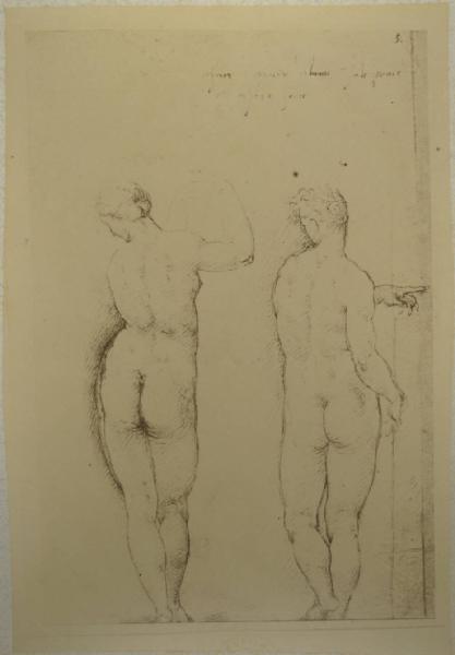 Cesare da Sesto - Studio di due figure a tergo - Schizzi - Disegno