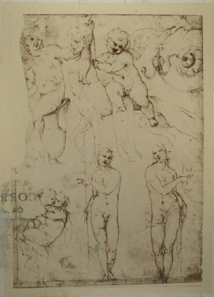 Cesare da Sesto - Studi per un san Giovanni Battista, una scena erotica, un amorino che cavalca un essere mostruoso, una donna seduta sopra una anfora - Schizzo - Disegno