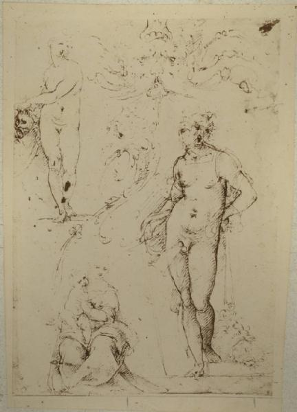 Cesare da Sesto - Studi oer una Giuditta con la testa di Oloferne, per una Madonna con Bambino e per figure grottesche - Schizzi - Disegno