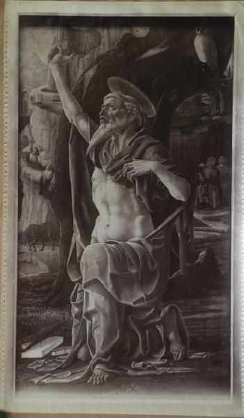Tura, Cosme' - San Girolamo - Dipinto - Olio e tempera su tavola