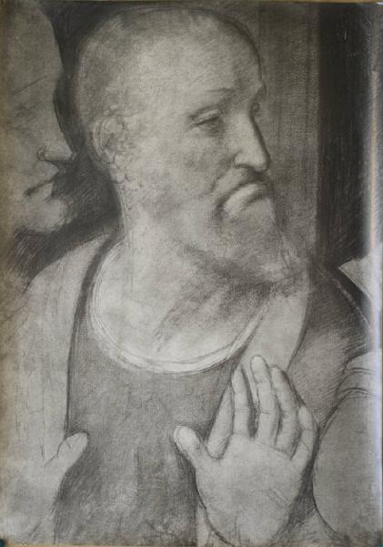 Copia da Leonardo da Vinci - Testa di Andrea dal Cenacolo - Disegno - Weimar