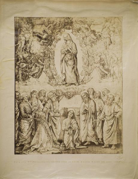 Vannucci, Pietro detto Perugino - Assunzione della Madonna e santi - Disegno - Vienna - Galleria dell'Arciduca Carlo