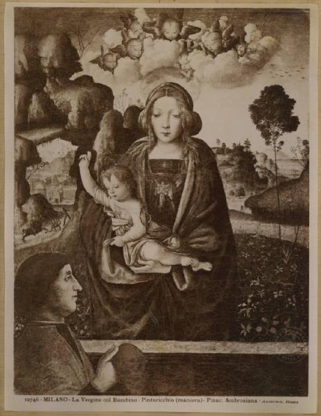 Bernardino di Betto detto Pinturicchio - Madonna con Bambino e donatore - Dipinto - Tempera su tavola riportata su tela - Milano - Pinacoteca Ambrosiana