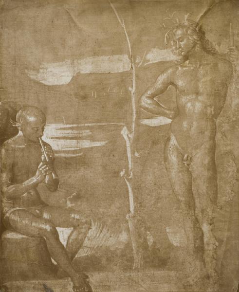 Vannucci, Pietro detto Perugino - Apollo e Marsia (Dafni?) - Disegno - Venezia - Galleria dell'Accademia