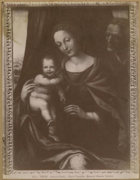 Bazzi, Giovanni Antonio detto Sodoma - Sacra Famiglia - Dipinto su tavola - Torino - Galleria Sabauda