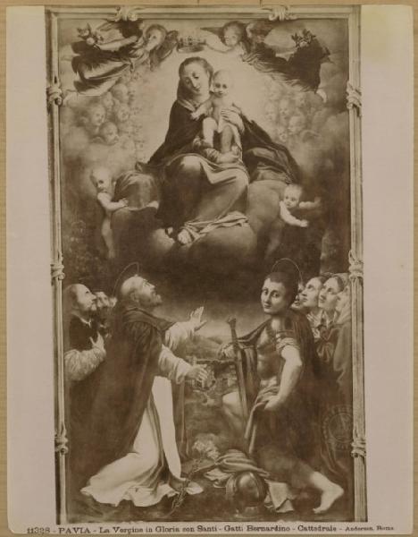 Gatti, Bernardino(detto il Sojaro) - Madonna del Rosario - Dipinto - Pavia - Duomo