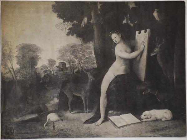 Luteri, Giovanni di Niccolò detto Dossi Dosso - Alcina ( o Circe?) - Dipinto - Olio su tela - Londra - Benson Collection
