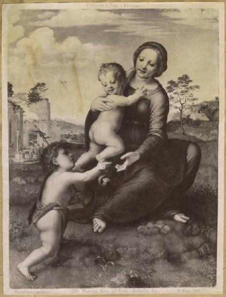 Francesco di Cristofano detto Franciabigio - Madonna con Bambino e San Giovannino detta 'Madonna del pozzo' - Dipinto su tavola - Firenze - Uffizi