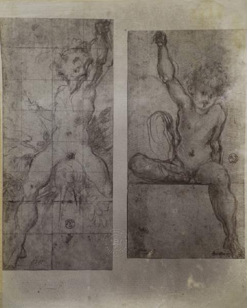 Pontormo - Due studi di nudo di bambini seduti - Disegno - Firenze - Uffizi - Gabinetto dei Disegni e delle Stampe