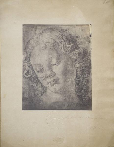 Verrocchio, Andrea - Studio per testa di angelo o di giovane - Disegno - Firenze - Uffizi - Gabinetto dei Disegni e delle Stampe