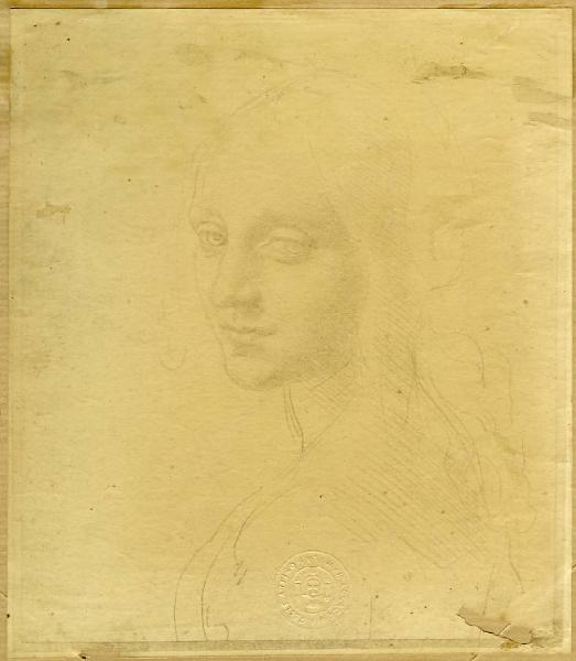Leonardo da Vinci - Studio per volto di donna (Studio per il volto dell'angelo nella Vergine delle rocce del Louvre?) - Disegno - Torino - Boblioteca Reale