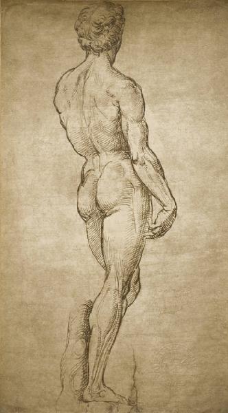 Sanzio, Raffaello - Nudo maschile sull'esempio del David di Michelangelo - Disegno - Londra - British Museum - Department of Prints and Drawings