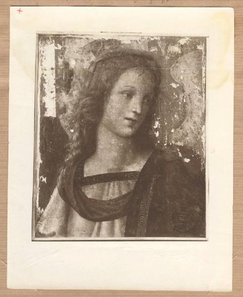 Sanzio, Raffaello - Busto di Angelo - Dipinto - Olio su tavola - Brescia - Pinacoteca Civica Tosio-Martinengo