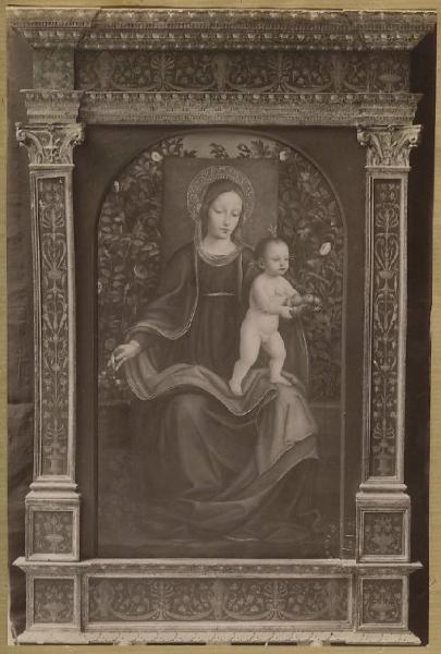 Ambrogio da Fossano (detto il Bergognone) - Madonna con Bambino - Dipinto - Milano - Collezione Borromeo