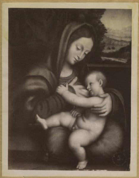 Solario, Andrea - Madonna con Bambino (Madonna del latte) - Dipinto su tavola - Bergamo - Accademia Carrara
