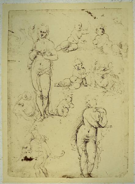 Cesare da Sesto - Studi di nudi femminili, figure grottesche e putti - Schizzo - Disegno