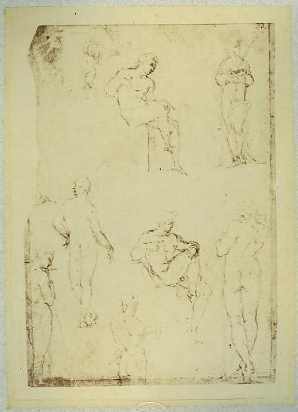 Cesare da Sesto - Studi di nudi maschili - Schizzo - Disegno